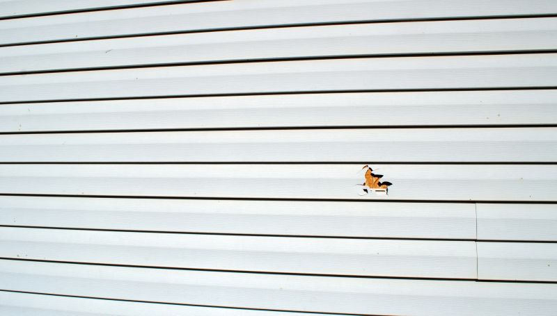 Exterior Siding Repairs